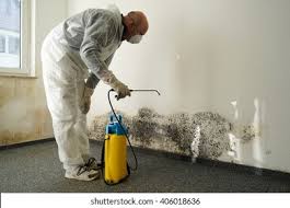 Professional Mold Inspection in Grantley, PA